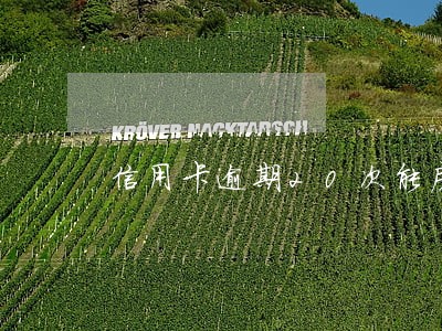 信用卡逾期20次能房贷吗 信用卡逾期20次能房贷吗