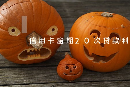 信用卡逾期20次贷款利率