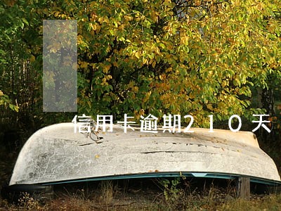 信用卡逾期210天 信用卡逾期210天