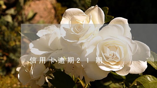信用卡逾期21期 信用卡逾期21期