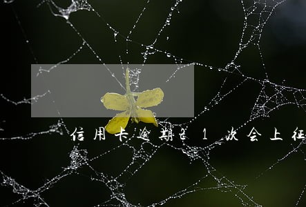 信用卡逾期21次会上征信吗