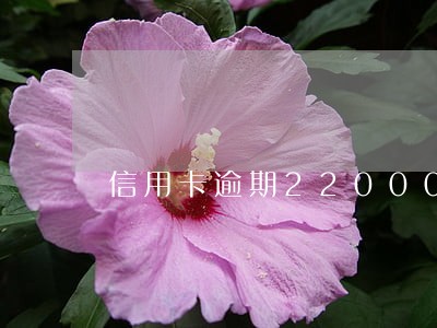 信用卡逾期22000三年 信用卡逾期22000三年