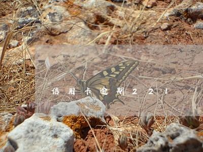 信用卡逾期221