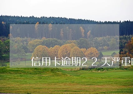 信用卡逾期22天严重吗 信用卡逾期22天严重吗