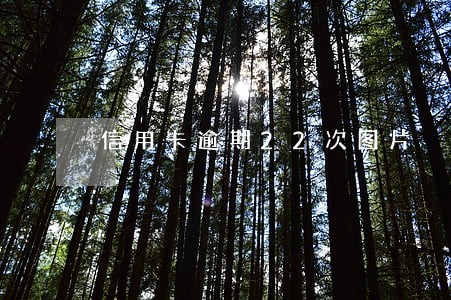 信用卡逾期22次图片 信用卡逾期22次图片