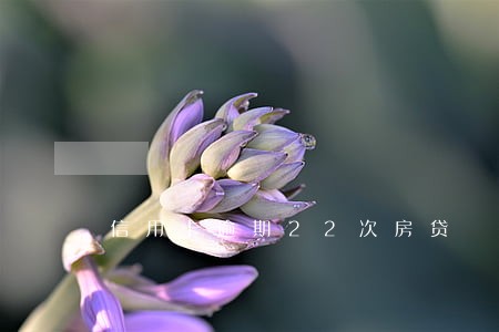 信用卡逾期22次房贷 信用卡逾期22次房贷