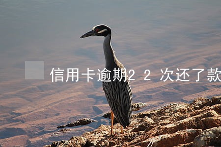 信用卡逾期22次还了款