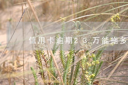 信用卡逾期23万能拖多久 信用卡逾期23万能拖多久