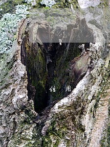 信用卡逾期23天会上征信吗 信用卡逾期23天会上征信吗