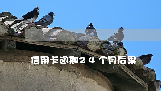 信用卡逾期24个月后果 信用卡逾期24个月后果