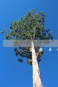 信用卡逾期25000利息 信用卡逾期25000利息