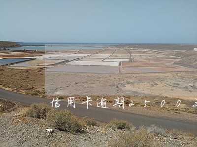 信用卡逾期2500三年 信用卡逾期2500三年