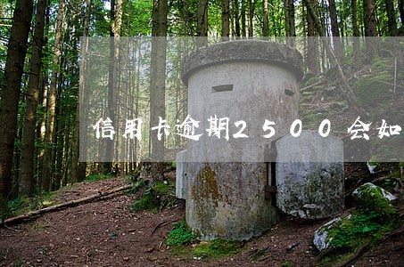 信用卡逾期2500会如何