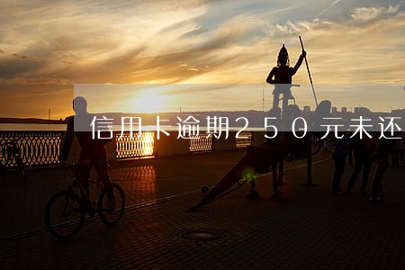 信用卡逾期250元未还款