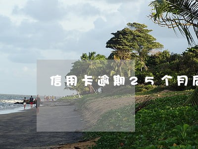 信用卡逾期25个月后 信用卡逾期25个月后