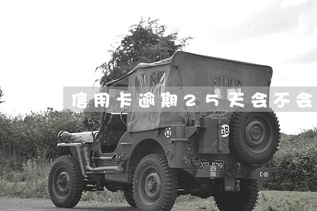 信用卡逾期25天会不会上征信 信用卡逾期25天会不会上征信