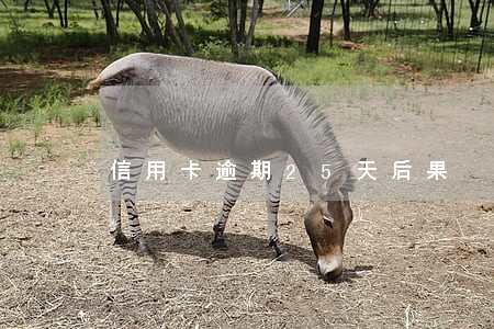 信用卡逾期25天后果 信用卡逾期25天后果