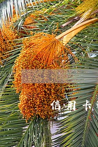 信用卡逾期25天收到传票吗