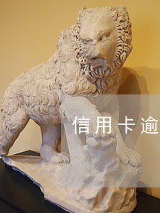 信用卡逾期25期 信用卡逾期25期