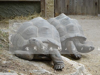 信用卡逾期2600会怎么样