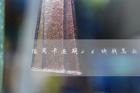 信用卡逾期26块钱怎么办 信用卡逾期26块钱怎么办