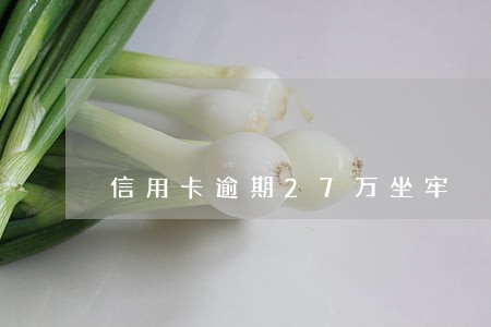 信用卡逾期27万坐牢
