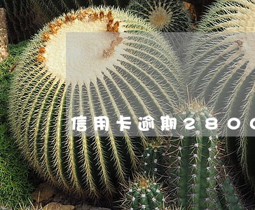信用卡逾期28000四个月 信用卡逾期28000四个月