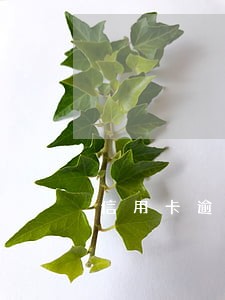 信用卡逾期2800元