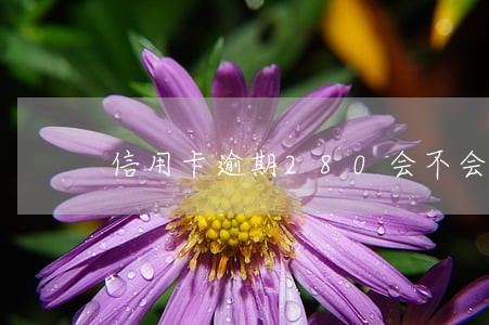 信用卡逾期280会不会上征信 信用卡逾期280会不会上征信