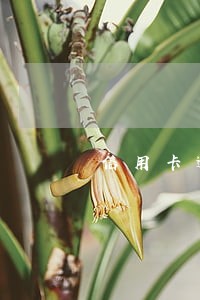 信用卡逾期2880 信用卡逾期2880