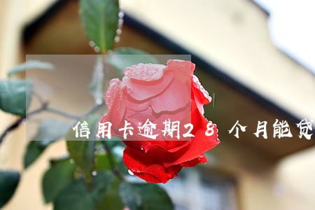 信用卡逾期28个月能贷款 信用卡逾期28个月能贷款