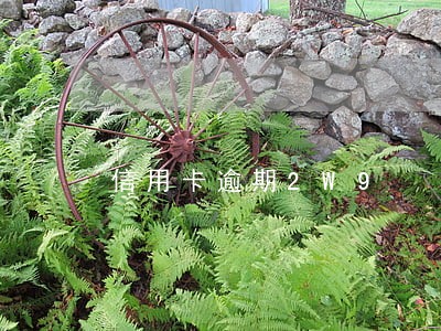 信用卡逾期2W9 信用卡逾期2W9