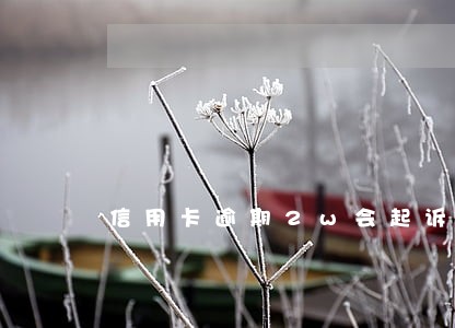 信用卡逾期2w会起诉吗 信用卡逾期2w会起诉吗