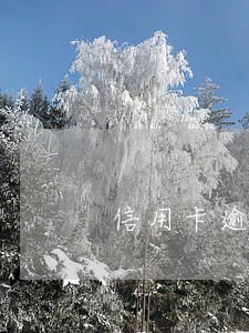 信用卡逾期2万5三个月 信用卡逾期2万5三个月