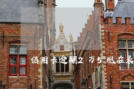信用卡逾期2万5现在呆账怎么办