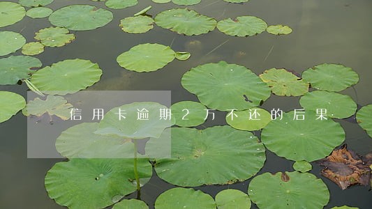 信用卡逾期2万不还的后果 信用卡逾期2万不还的后果