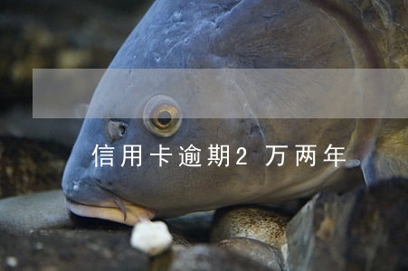 信用卡逾期2万两年 信用卡逾期2万两年