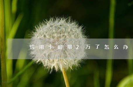 信用卡逾期2万了怎么办