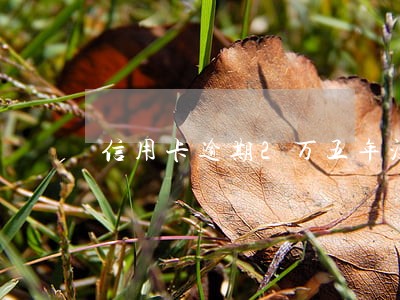 信用卡逾期2万五年没还