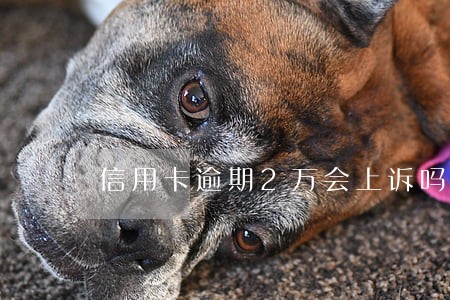 信用卡逾期2万会上诉吗