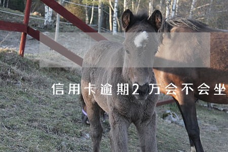 信用卡逾期2万会不会坐牢 信用卡逾期2万会不会坐牢