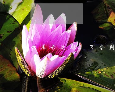 信用卡逾期2万会判刑多久 信用卡逾期2万会判刑多久