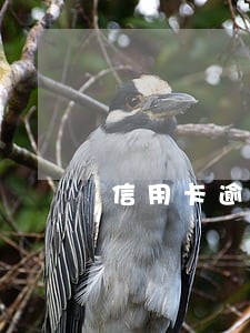 信用卡逾期2万会怎样 信用卡逾期2万会怎样