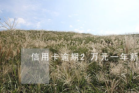 信用卡逾期2万元一年新规定 信用卡逾期2万元一年新规定