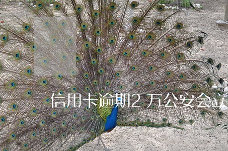 信用卡逾期2万公安会立案吗