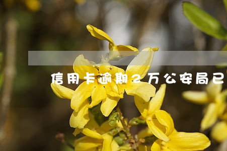 信用卡逾期2万公安局已经立案 信用卡逾期2万公安局已经立案