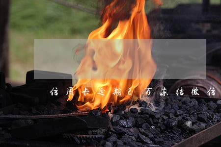 信用卡逾期2万冻结微信 信用卡逾期2万冻结微信