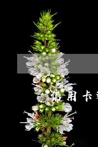 信用卡逾期2万多久起诉 信用卡逾期2万多久起诉