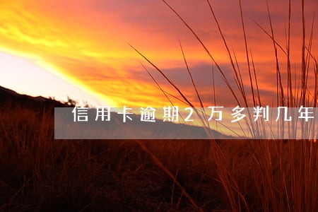 信用卡逾期2万多判几年