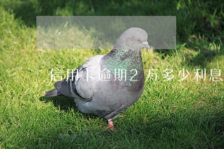 信用卡逾期2万多少利息 信用卡逾期2万多少利息